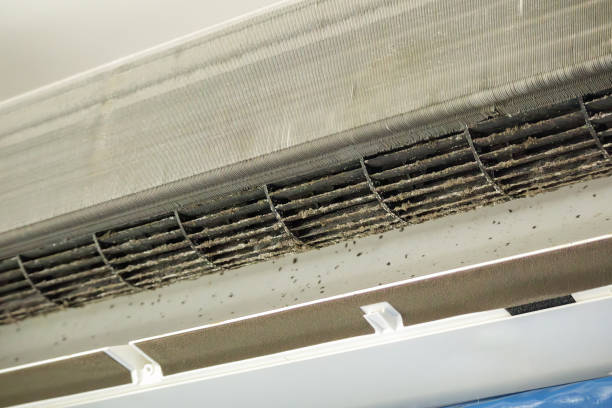 Best Professional Duct Cleaning Services  in Prineville, OR